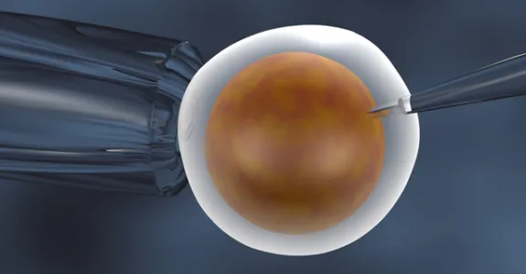Graphic illustration of a needle being inserted into a fixed cell to represent in-vitro fertilization.