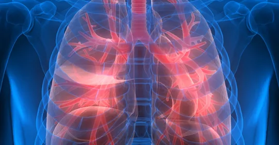 Graphic anatomical image showing lungs lit up in red.
