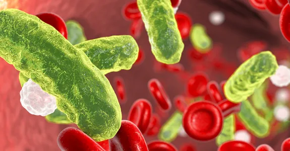 Grahic illustration depicting microbes as green tubes and red blood cells in a blood vessel.