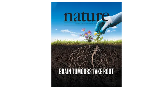 graphic of Nature magazine cover showing a gardener pulling a dandelion attached to a brain-shaped set of roots beneath the soil.