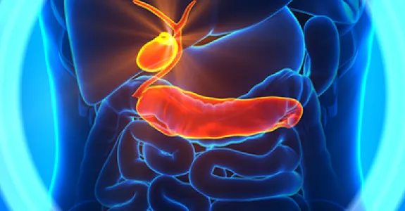 Graphic image of human pancreas.