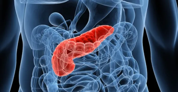 Graphic image of pancreas.