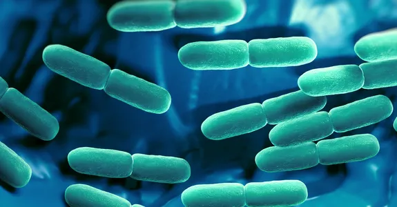Graphic image of Lactobacillus bacteria.