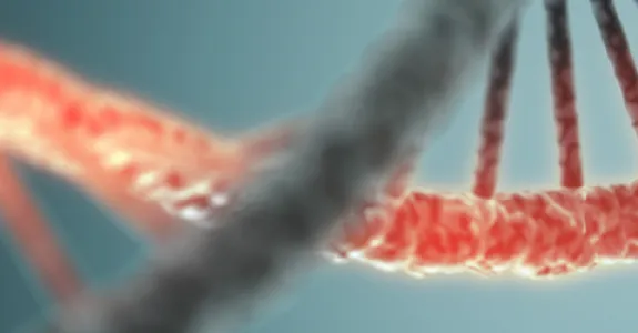 Graphic image of RNA.