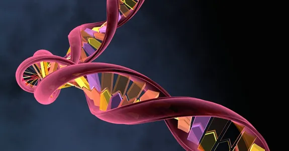 Graphic image of RNA.