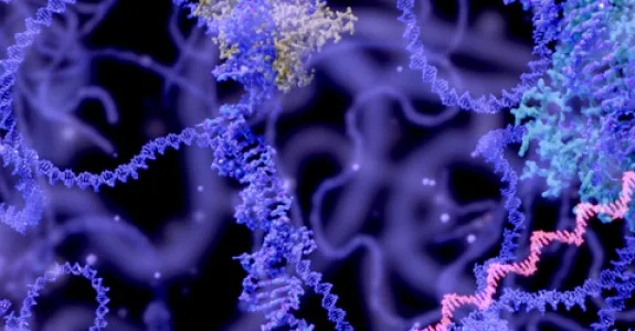 Graphic image of RNA polymerase.