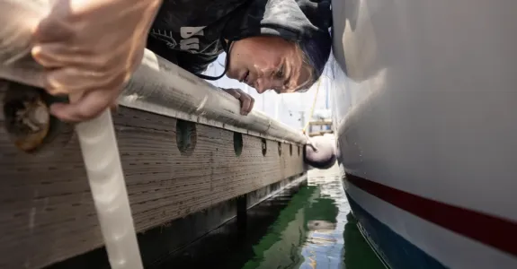 Photo of a young woman leaning into a gap between two boats, looking into the water.