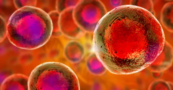 Graphic image of stem cells with nuclei in red on an orange background.