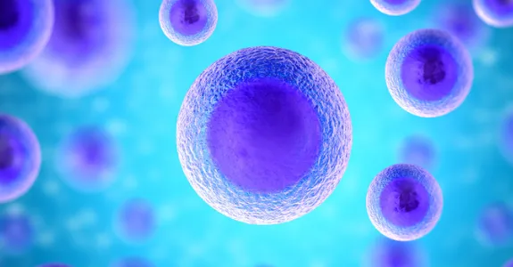 Graphic of human cells.