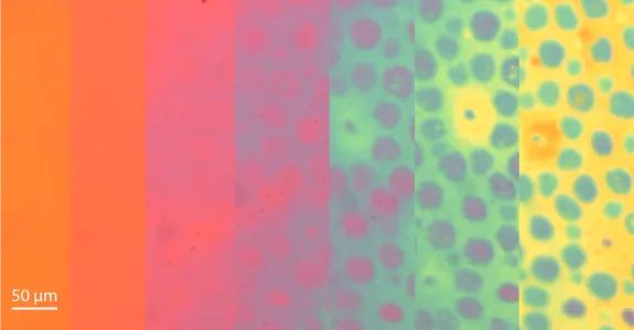 Image collage of bars that change from orange at far left through pink and purple with spots and green into yellow with green spots at far right. Scale says 50 nanometers.