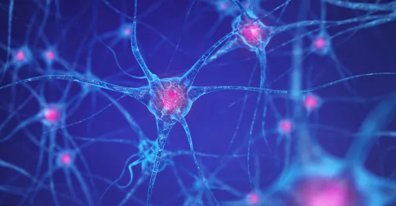 Graphic image of interconnected neurons, with nuclei in pink on a blue background.