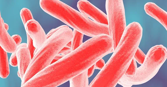 Graphic image of tuberculosis bacteria depicted in red in front of a bluish background.