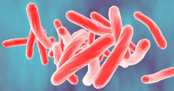 3D graphic illustration of tuberculosis bacteria, long tubular objects depicted in brigh tred against a nebulous purple and blue background.
