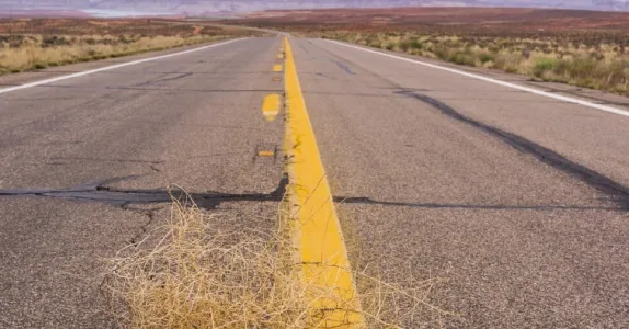 Photo of an open highway with scrub brush on either side, with a tumbleweed in the foreground.