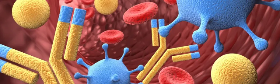 Graphic image of antibodies in bloodstream.