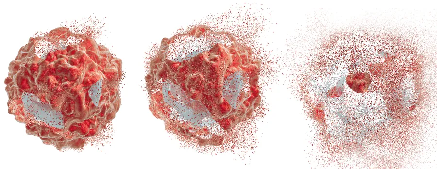 Graphic image showing a cell three times, with more of the cell's material having disintegrated in each iteration, to represent cell death.