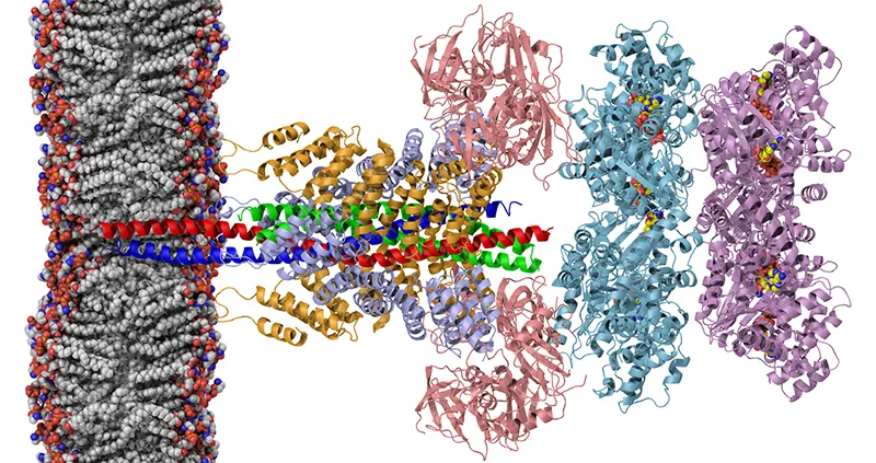 Graphic image of interacting molecules in the brain.