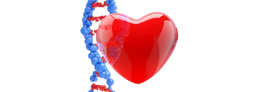 Graphic image of pictographic heart in front of a DNA double-helix.