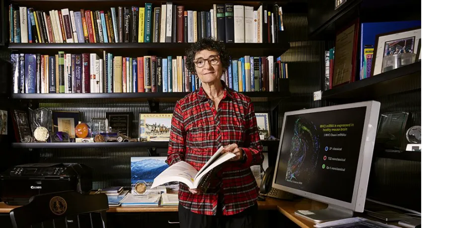 Photo of Stanford Bio-X Director Carla Shatz in her office.