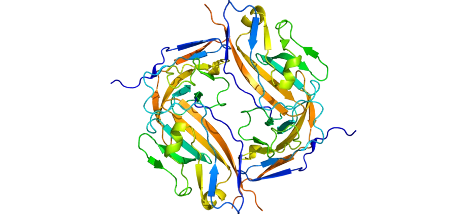 Graphic depiction of CD47 protein.