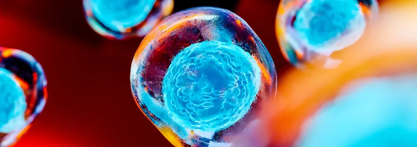 Graphic image of stem cells floating, with nuclei in bright blue.