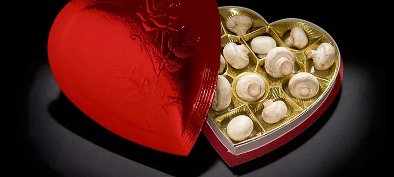 Photo of mushrooms in chocolates box.