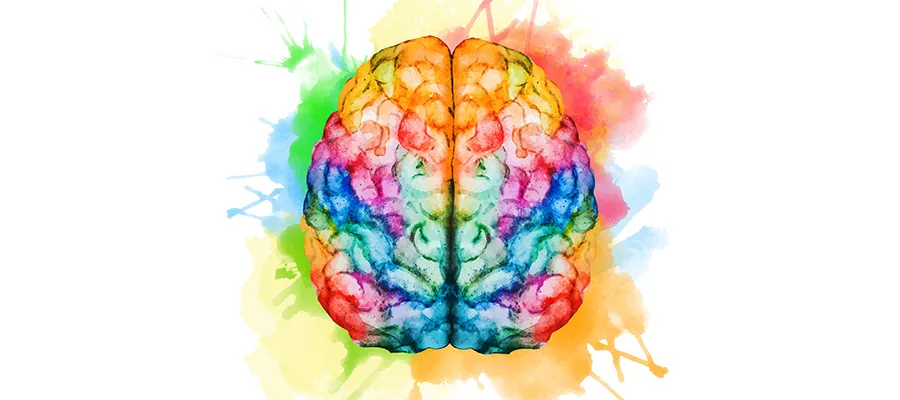 Grahic of colorful brain.
