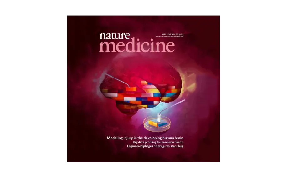 cover of Nature Medicine journal showing a brain made of brick-like building blocks