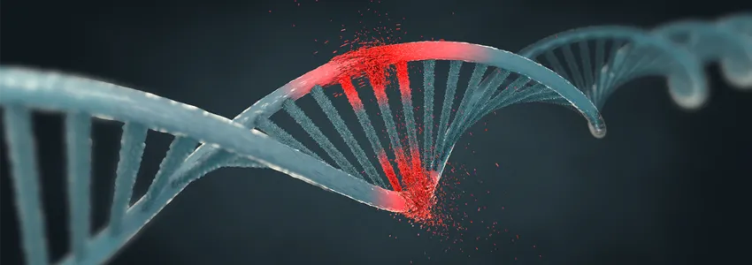 Graphic illustration showing a helix of DNA where several pieces have been damaged and are crumbling, depicted in red.