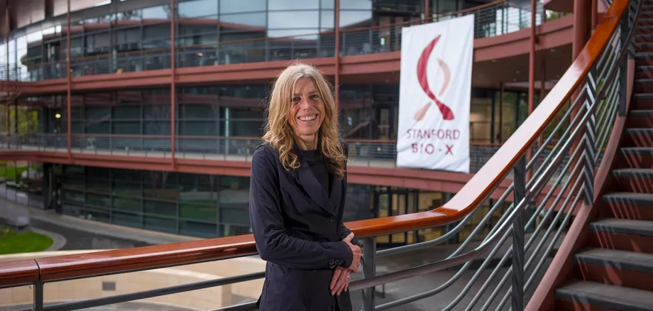 Ellen Kuhl Named Director Of Stanford Bio-X | Welcome To Bio-X