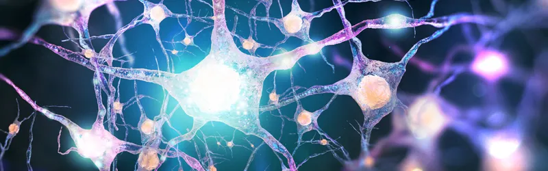 Graphic image of neurons lighting up on a purplish background.