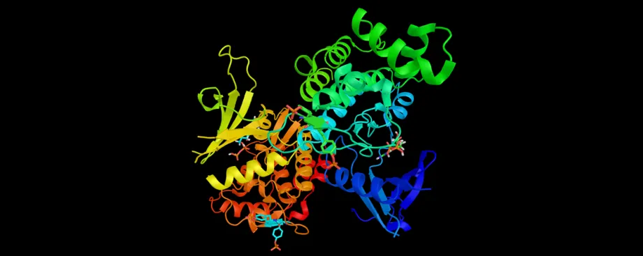 3D graphic image depiction of a complex protein with multiple spiral domains in bright colors.
