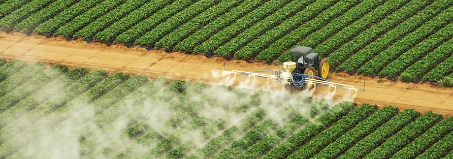 Photo of a large industrial machine between two sections of many rows of bright green crops, spraying the ones closest to it with a white mist.