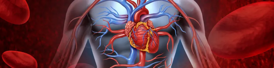 Graphic image of heart and arteries.