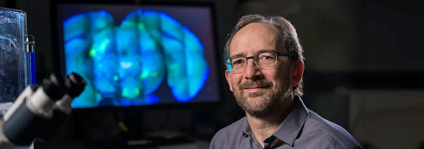 Photo of Dr. Mark Krasnow in lab, next to microscope and in front of a screen displaying a large brain scan image in bright blue.