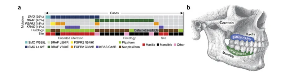 Figure of mutation frequency, distribution and relationship with pathological features from publication in Nature Genetics.