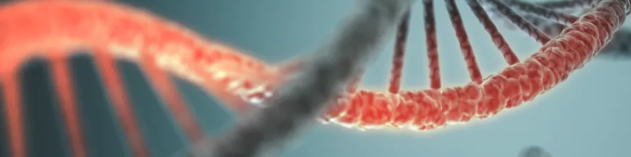 Graphic image of RNA.
