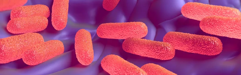 Graphic image showing pink salmonella bacteria against purple background.