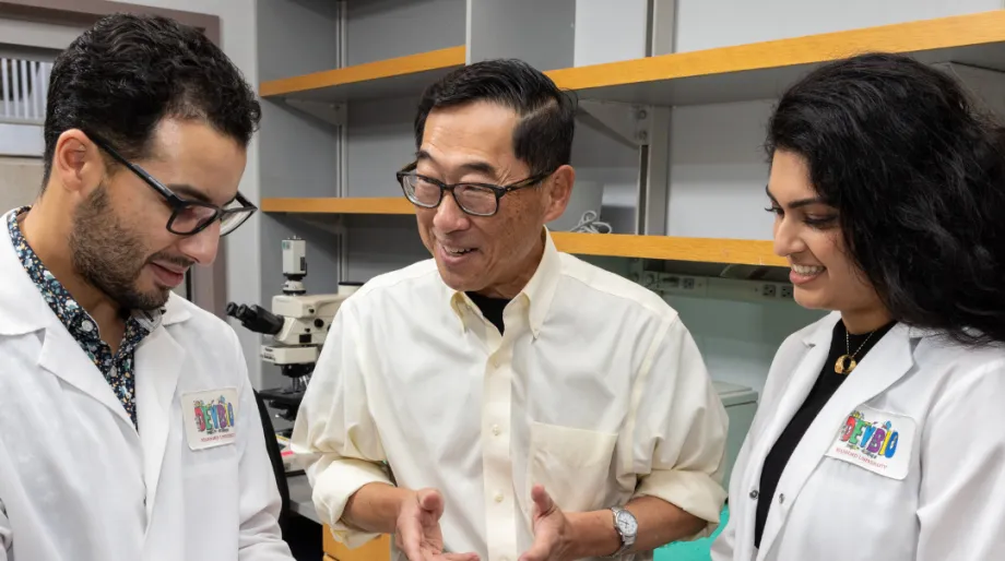 Researchers examining cells under a microscope for diabetes treatment