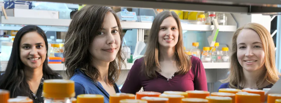 Photo of postdoctoral researcher Isis Trenchard, assistant professor of bioengineering Christina Smolke, chemistry graduate student Stephanie Galanie, and research associate Kate Thodey.