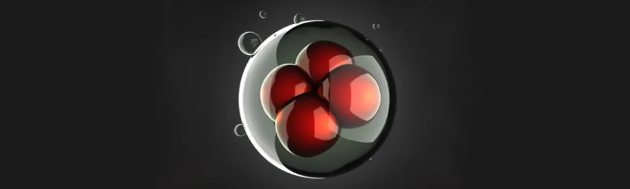 Image of a cell dividing.