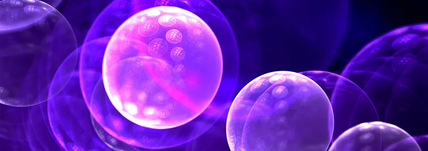 Graphic illustration of cells in purple with tiny chromosomes showing.