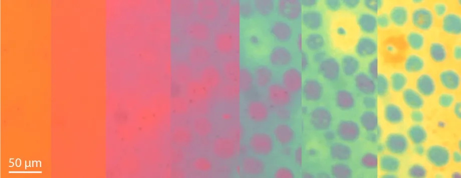 Image collage of bars that change from orange at far left through pink and purple with spots and green into yellow with green spots at far right. Scale says 50 nanometers.
