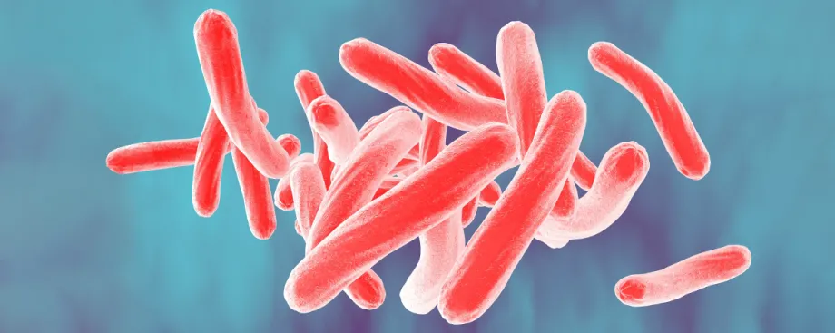 3D graphic illustration of tuberculosis bacteria, long tubular objects depicted in brigh tred against a nebulous purple and blue background.