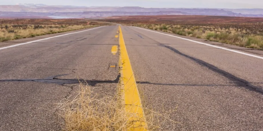 Photo of an open highway with scrub brush on either side, with a tumbleweed in the foreground.