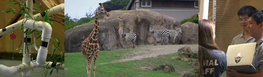 Screenshots from video depicting students' research at the San Francisco zoo.