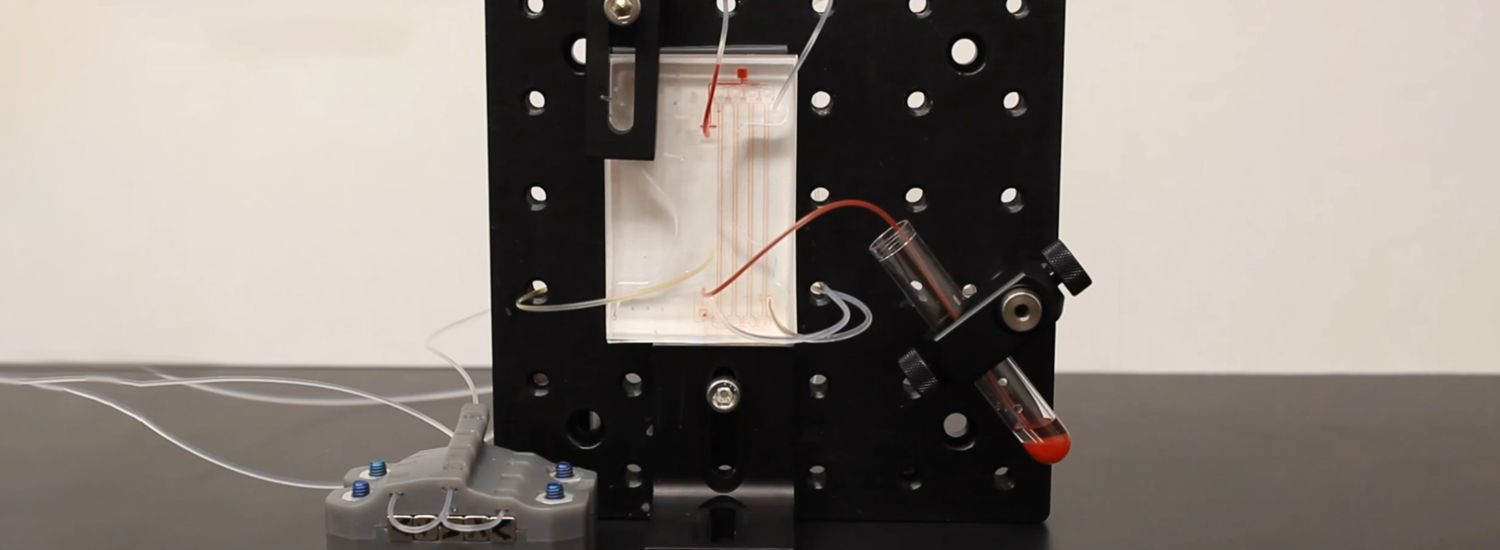 Video screenshot showing a square black frame with pale tubes, which has a microfluidic device in the middle that is filtering blood, and holding a blood vial near the bottom right of the frame to receive filtered blood.