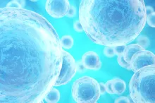 Graphic illustration of numerous cells on a blue background.